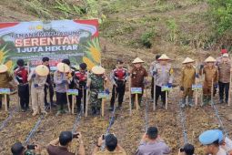Pj Bupati Murung Raya bersama Forkopimda laksanakan penanaman jagung serentak