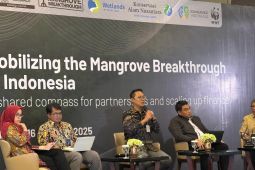 Kemenhut sebut rehabilitasi mangrove dilakukan lewat pendekatan investasi