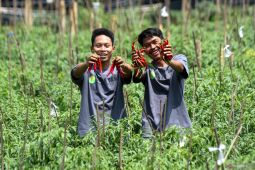 Saatnya fokus pada alih generasi petani