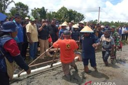 Bupati Jayapura tanam perdana padi sawah Distrik Namblong