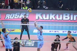 Proliga 2025: Bhayangkara Presisi bekuk Samator3-0 di final four