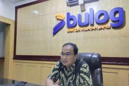 Kebutuhan beras di Jambi capai empat ribu ton per bulan