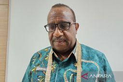 Realisasi belanja Papua turun sebesar Rp1,324 T di 2024