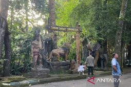 Taman Safari tegaskan tak ada hubungan bisnis dengan pemain sirkus OCI