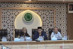 MUI: pendekatan lintas sektor harus dilakukan untuk cegah islamofobia