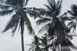 BPBD imbau waspada potensi hujan disertai petir di Mukomuko