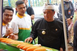Garut pemasok jagung terbesar di Jabar masih bertahan