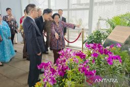 Megawati: Riset bunga Kimilsungia harus terus dikembangkan
