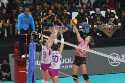 Proliga 2025: Popsivo bekuk Petrokimia 3-1 di final four