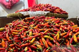 Harga kebutuhan pokok hari ini: Cabai rawit Rp82.000/kg, bawang merah Rp43.667/kg
