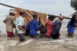 Warga Pesisir Barat tandu kepala desa yang sakit karena keterbatasan akses jalan