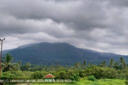 Gunung Lewotobi Laki-laki di Flotim sembilan kali erupsi