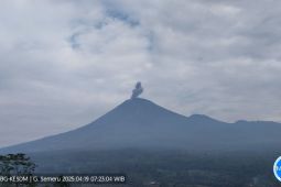 Gunung Semeru tercatat alami erupsi empat kali