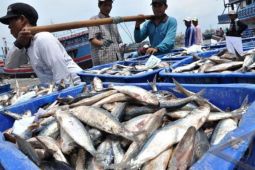 Pemkot Bontang  majukan industri pengalengan ikan