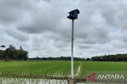 Pemberian burung hantu dari Presiden dukung teknologi IPHA