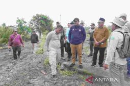 Tanjabbar Jambi  pacu pembangunan jalan guna dongkrak perekonomian