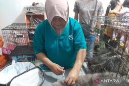 Realisasi vaksinasi rabies di Mukomuko capai 50 persen