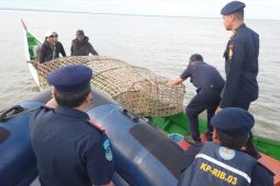 KKP menangkap kapal ikan Malaysia di perairan Kaltara