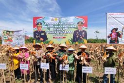 Polres Ponorogo panen jagung varietas Bhayangkara hingga 32 ton