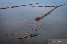 Hukum kemarin, kasus pagar laut hingga sidang Hasto kembali ricuh