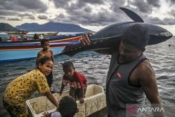 KKP sebut RI merupakan produsen tuna terbesar dunia