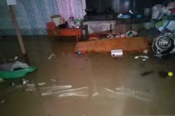 BPBD Bangka catat 50 rumah warga terdampak banjir