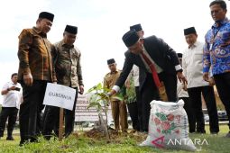 Wagub Sumut ikuti Gerakan Penanaman Sejuta Pohon Matoa