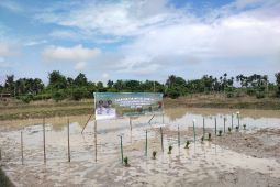 Pemkot Jambi tanam padi seluas 520 hektare selama April dan Mei 2025