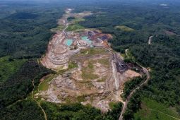 Walhi Jambi minta pemerintah perketat izin PBPH dan HGU cegak kerusakan lingkungan