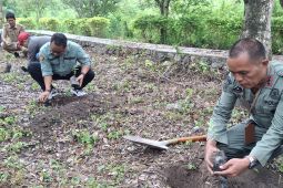 Yayasan Kehati-ROA tanam pohon di Tahura Kapopo peringati Hari Bumi