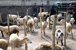 Tingkatkan penjualan ternak, Pemkab Garut aktifkan pasar hewan