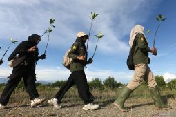 Sejarah dan tujuan diperingati Hari Bumi