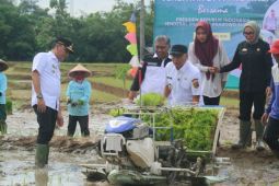 Lampung targetkan produksi gabah 3,5 juta ton pada 2025