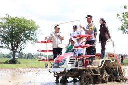 Pemkab Tangerang berpartisipasi tanam padi nasional serentak