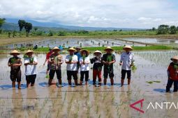 Pemkot Kediri permudah kebutuhan petani guna dukung ketahanan pangan