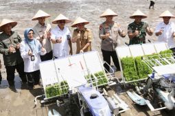 Gubernur pastikan Kalteng terus bergerak bangun kedaulatan pangan