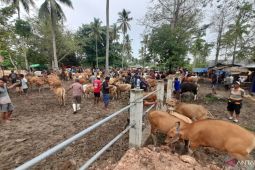 Pasar hewan Pulubala Gorontalo sepi pembeli akibat akses terputus