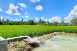 Pemerintah putuskan tarif listrik TW II tidak naik, PLN siap beri pelayanan optimal