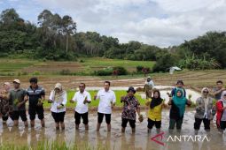 Gerakan tanam padi serentak nasional digelar di Tapsel, dorong swasembada dan kesejahteraan petani