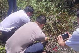Bangka Selatan dukung konservasi ikan endemik Tempala Mirah