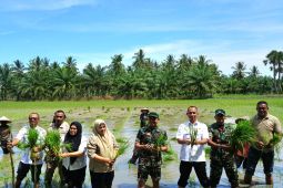 Aceh Utara Akan Jadi Lumbung Padi Nasional, Dandim Lanjutkan Program Presiden Prabowo
