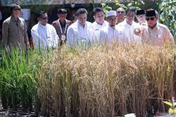 Presiden luncurkan Gerakan Indonesia Menanam