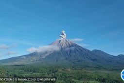 Semeru alami erupsi dengan letusan setinggi 900 meter di atas puncak