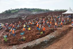 PT Vale IGP Morowali Tanam Harapan Lewat Reklamasi Sejak Langkah Pertama