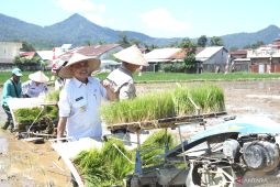 Gubernur Kalbar minta pemda fokus menggarap lahan tidur untuk pertanian