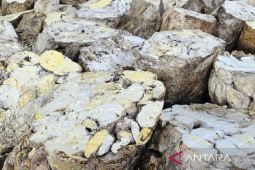 Gapkindo catat ekspor karet Sumut  capai 21.666 ton pada Maret 2025