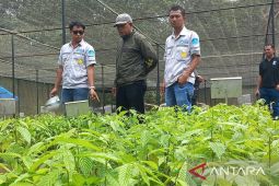 Hijaukan hutan, PT NSHE tanam ribuan pohon dan dukung pakan Orangutan Tapanuli