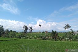 BBMKG minta petani tampung air antisipasi kemarau di Bali