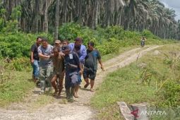 Tiga penderita gangguan jiwa di Mukomuko sembuh setelah dirawat di RSJ