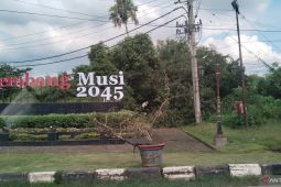 Pemkot Palembang rapikan 236 taman kota untuk kenyamanan warga